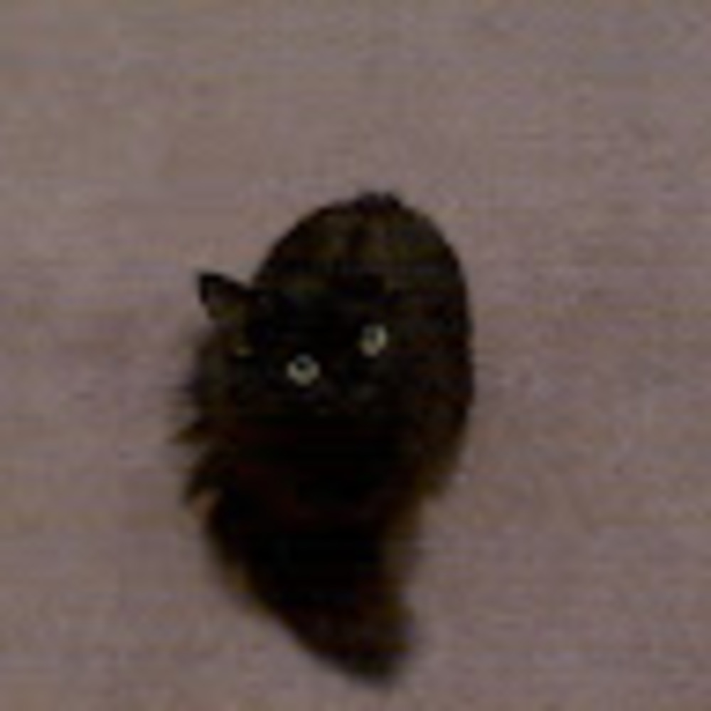 Meet your Posher, Cynthia